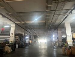Frontier (D14), Factory #539402491